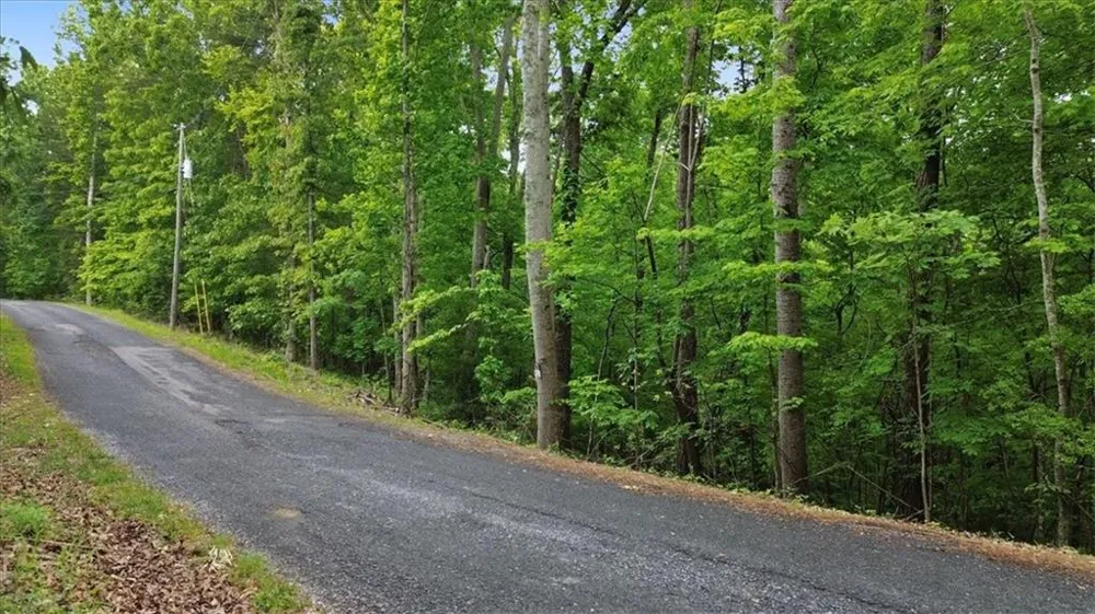 1563 Dover Circle Ranger, GA 30734