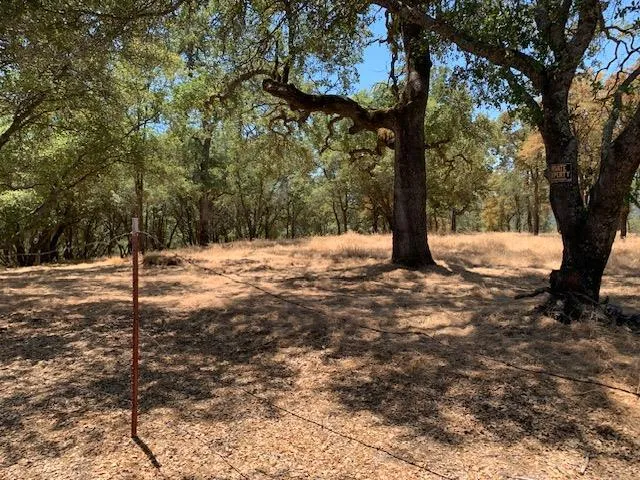 BRIDLE TRAIL Pilot Hill, CA 95664