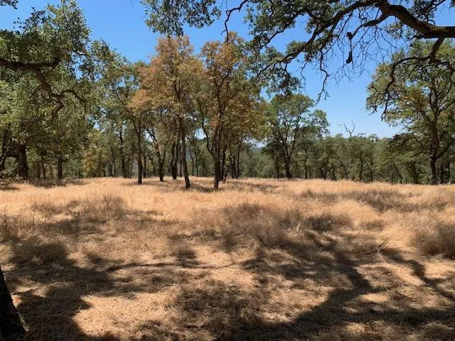 BRIDLE TRAIL Pilot Hill, CA 95664