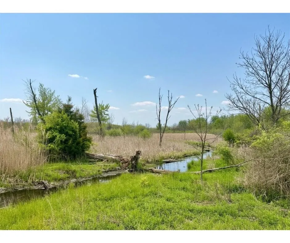 8603 Oakland Drive Portage, MI 49024