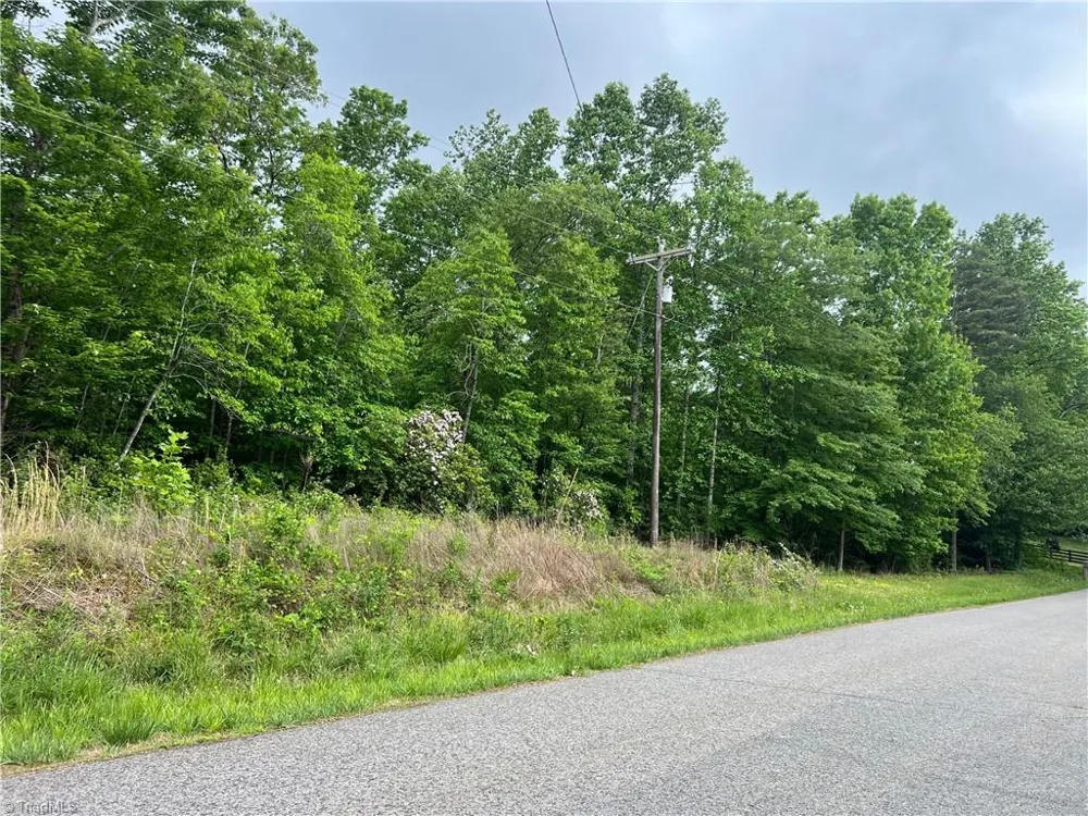 0 Gillespie Street Dobson, NC 27017