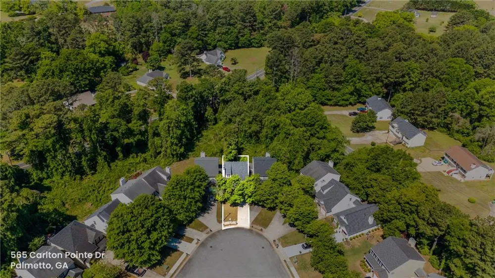 565 Carlton Pointe Drive Palmetto, GA 30268