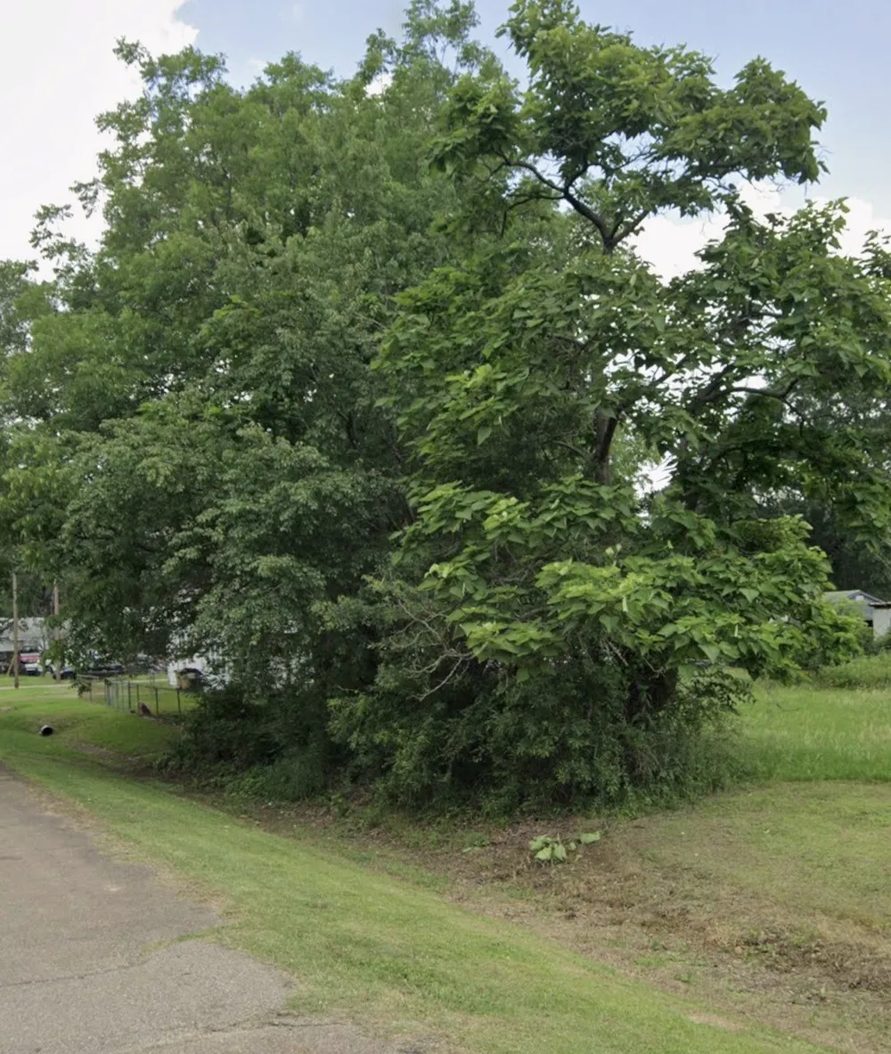 2202 E Avenue B Hooks, TX 75561