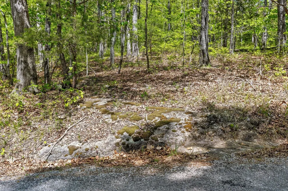 0 Deepwoods Road Sewanee, TN 37375
