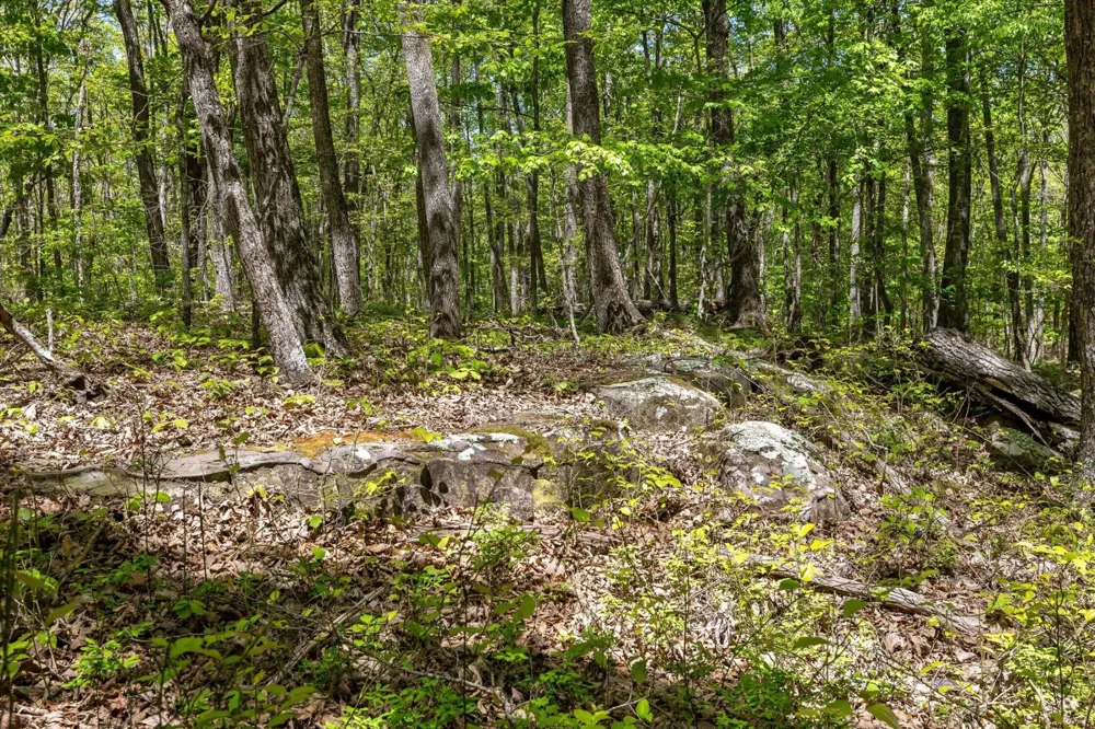 0 Deepwoods Road Sewanee, TN 37375