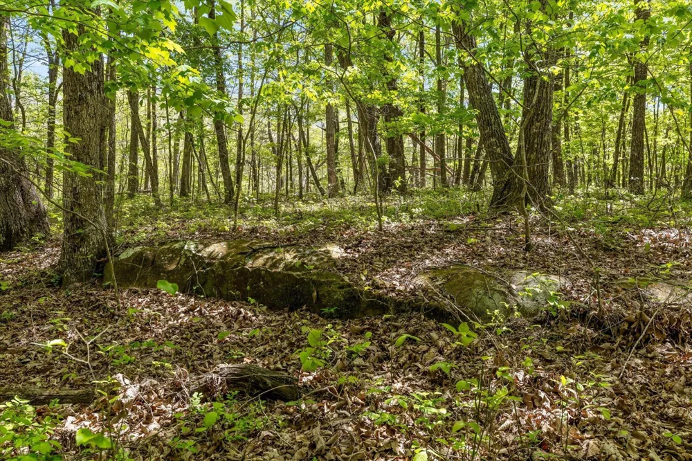 0 Deepwoods Road Sewanee, TN 37375