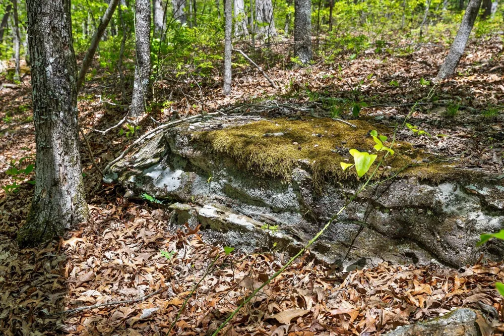 0 Deepwoods Road Sewanee, TN 37375
