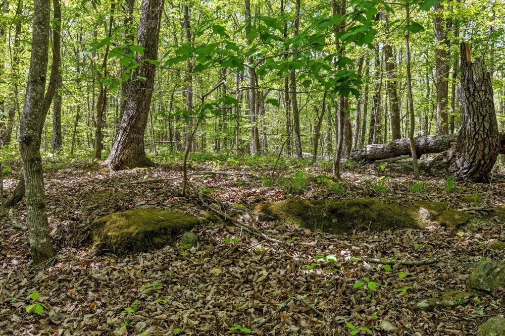 0 Deepwoods Road Sewanee, TN 37375