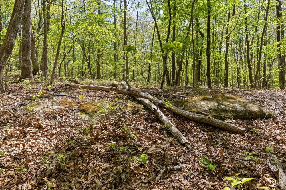 0 Deepwoods Road Sewanee, TN 37375