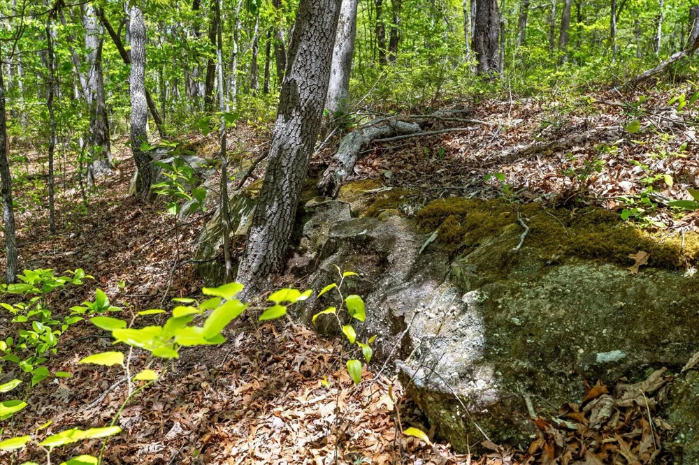 0 Deepwoods Road Sewanee, TN 37375