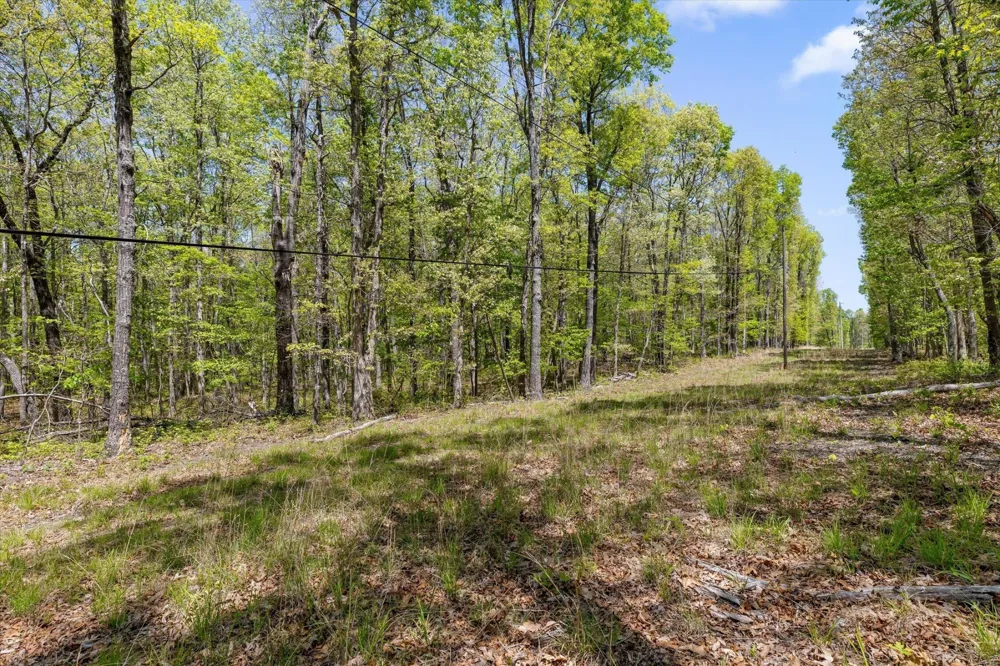0 Deepwoods Road Sewanee, TN 37375