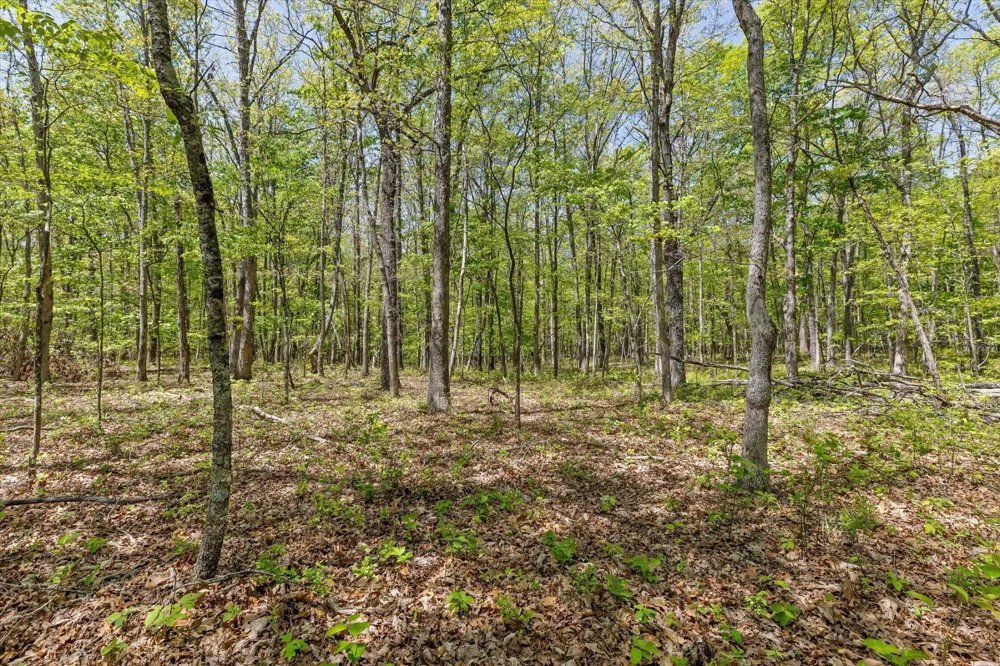 0 Deepwoods Road Sewanee, TN 37375