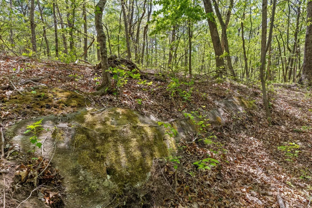 0 Deepwoods Road Sewanee, TN 37375
