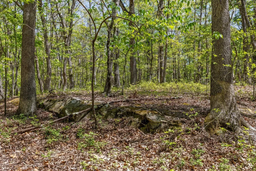 0 Deepwoods Road Sewanee, TN 37375