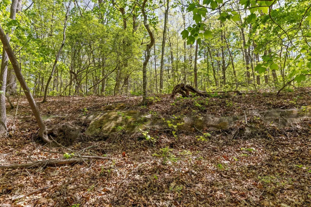 0 Deepwoods Road Sewanee, TN 37375
