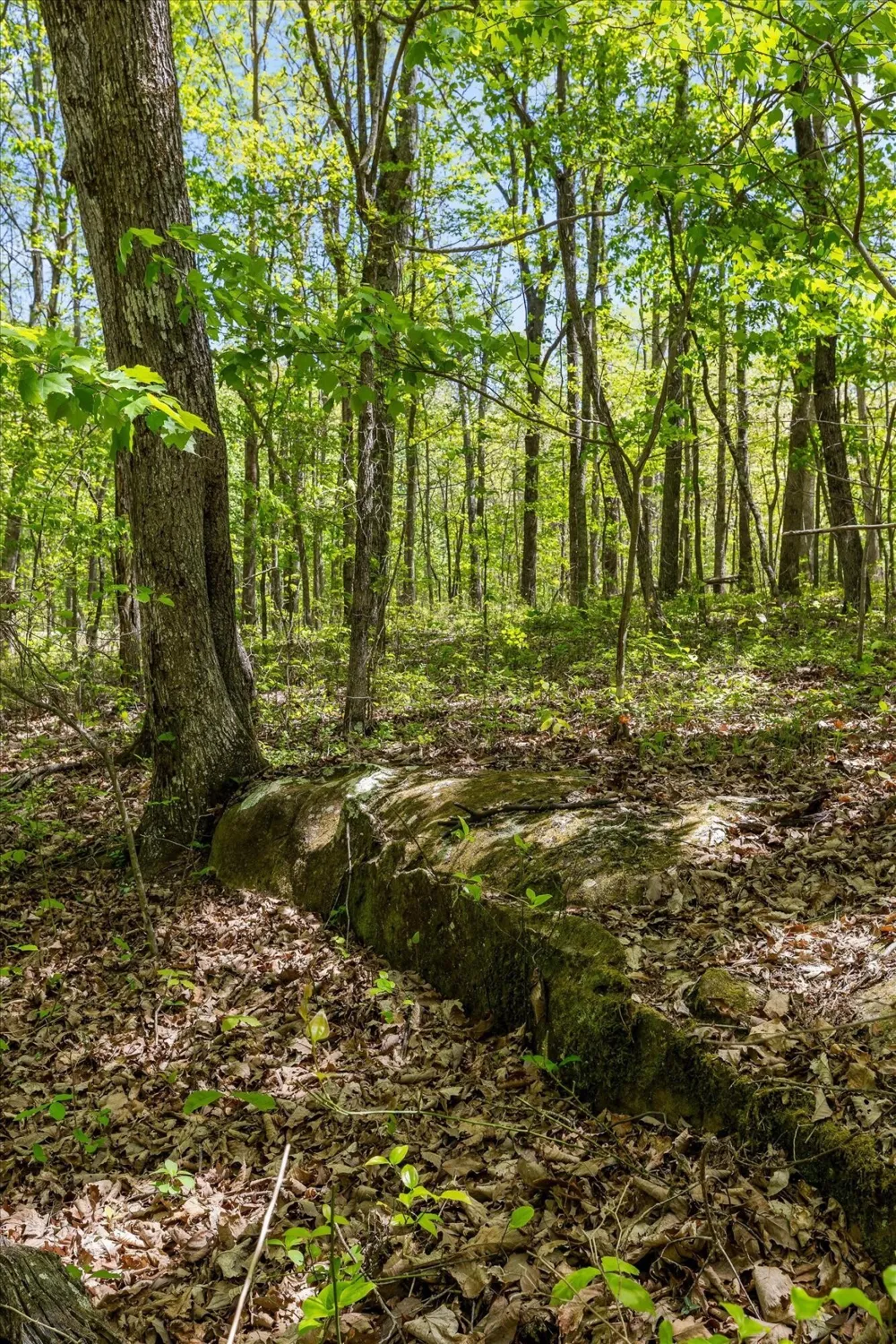 0 Deepwoods Road Sewanee, TN 37375