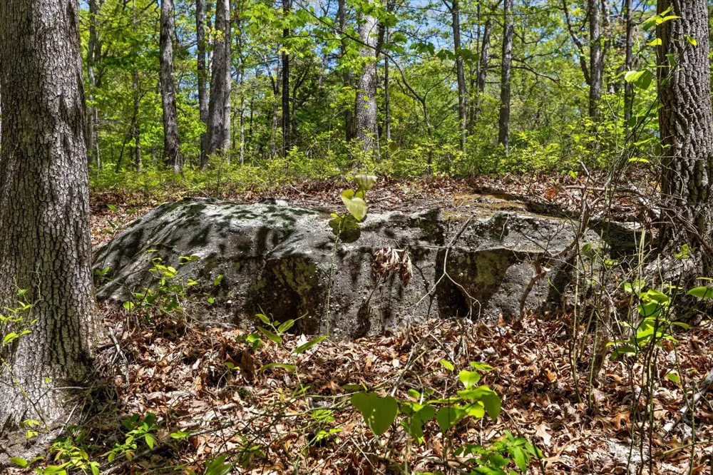 0 Deepwoods Road Sewanee, TN 37375