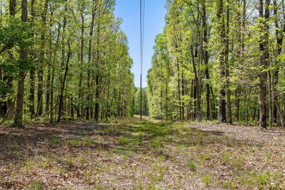 0 Deepwoods Road Sewanee, TN 37375