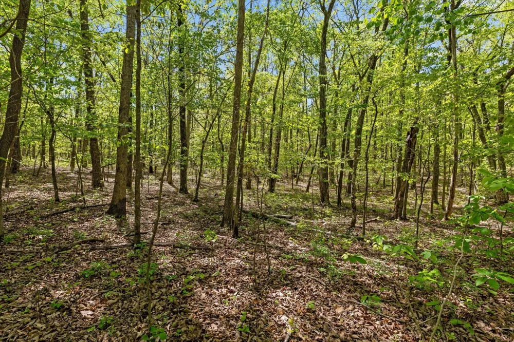 0 Deepwoods Road Sewanee, TN 37375
