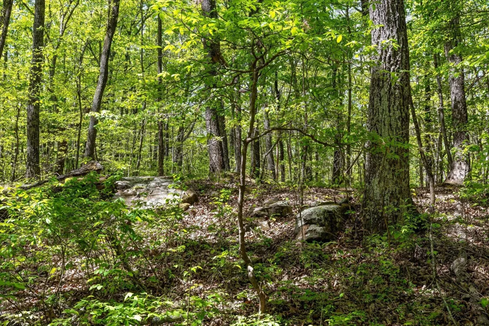 0 Deepwoods Road Sewanee, TN 37375