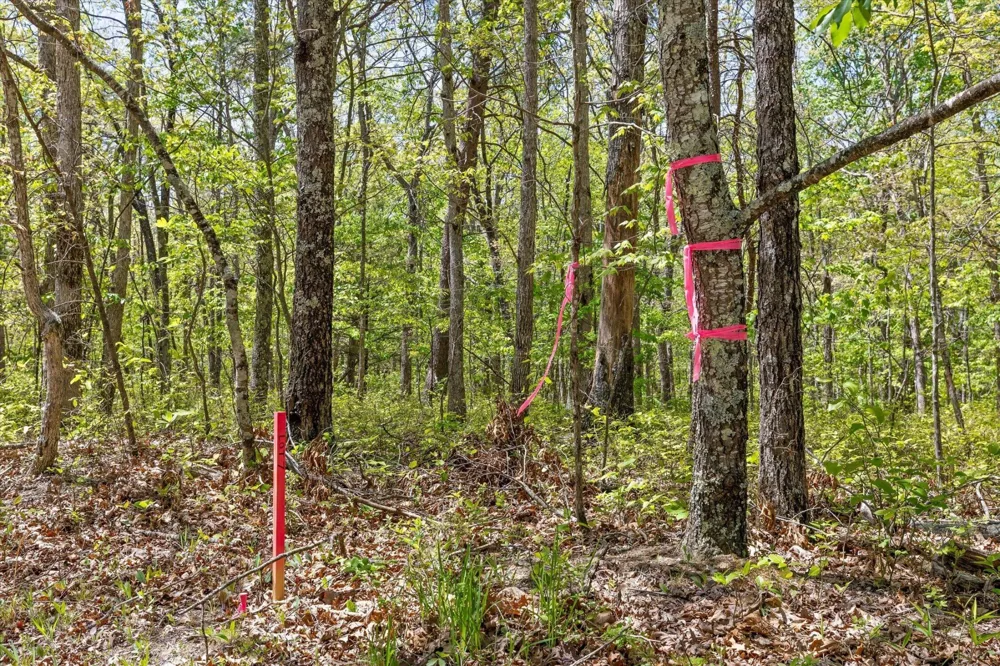0 Deepwoods Road Sewanee, TN 37375