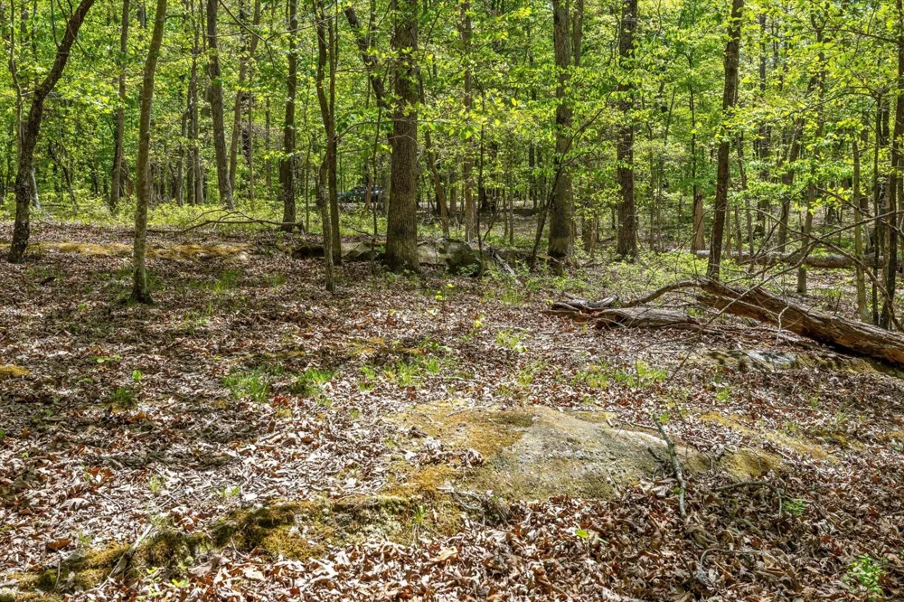 0 Deepwoods Road Sewanee, TN 37375