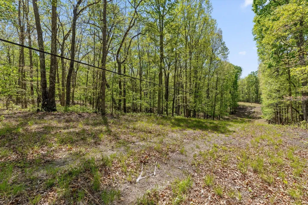 0 Deepwoods Road Sewanee, TN 37375