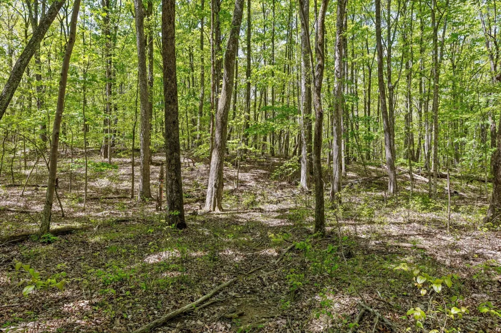 0 Deepwoods Road Sewanee, TN 37375