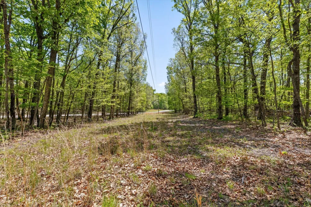 0 Deepwoods Road Sewanee, TN 37375