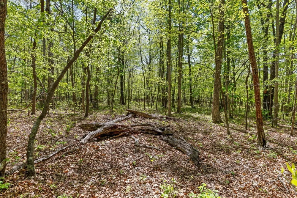 0 Deepwoods Road Sewanee, TN 37375