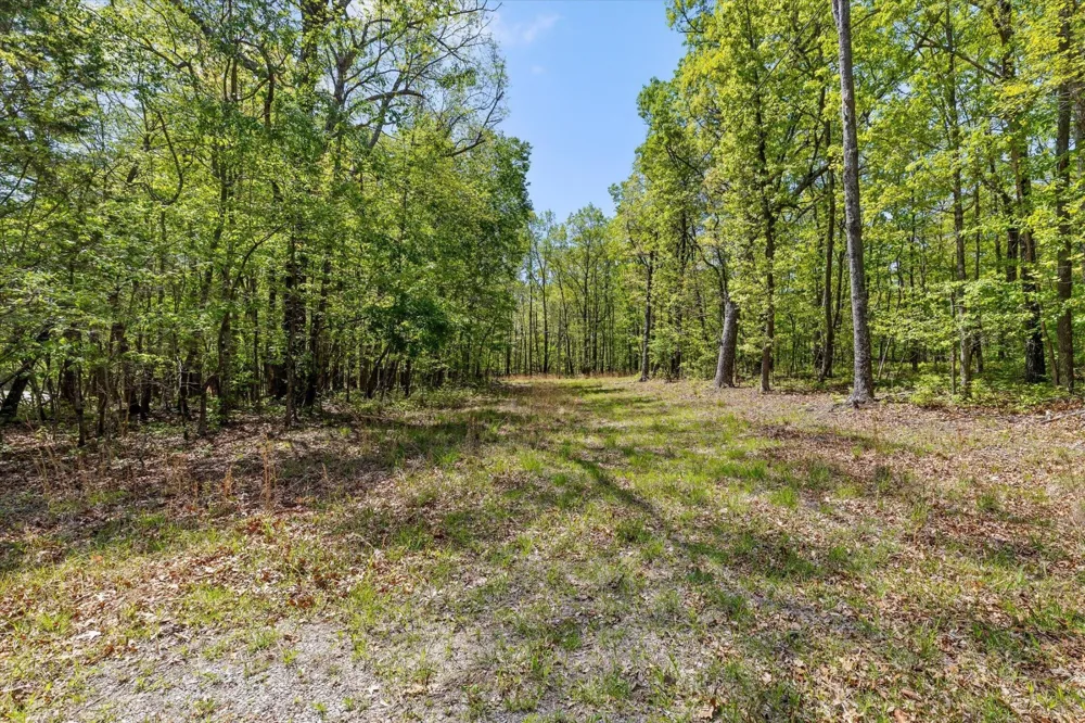 0 Deepwoods Road Sewanee, TN 37375