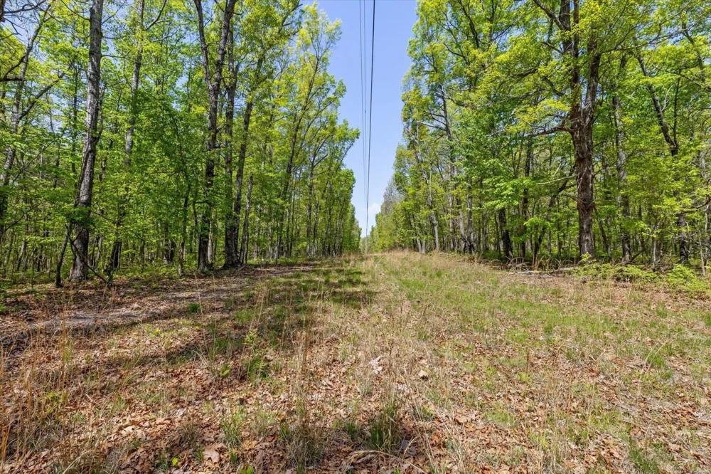 0 Deepwoods Road Sewanee, TN 37375