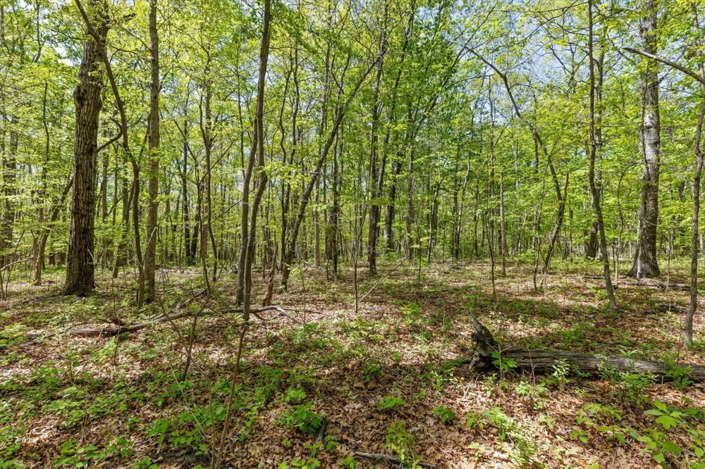 0 Deepwoods Road Sewanee, TN 37375
