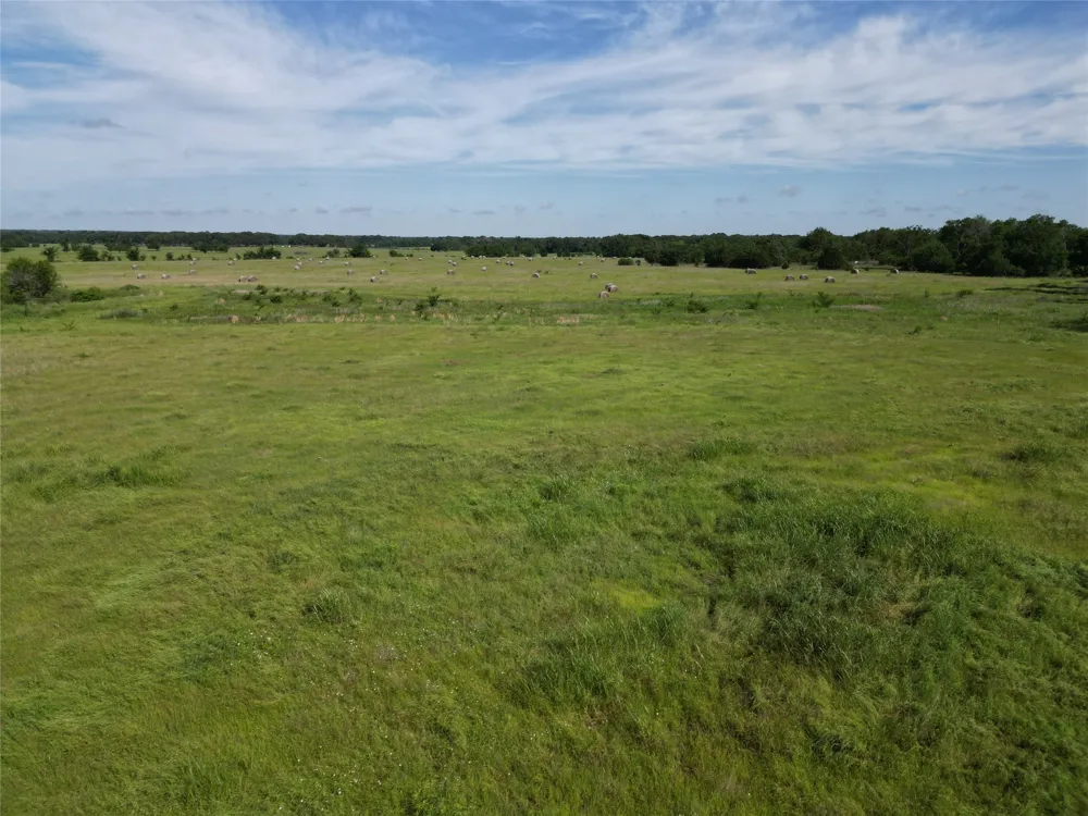 7188 FM 1567 W Miller Grove, TX 75433