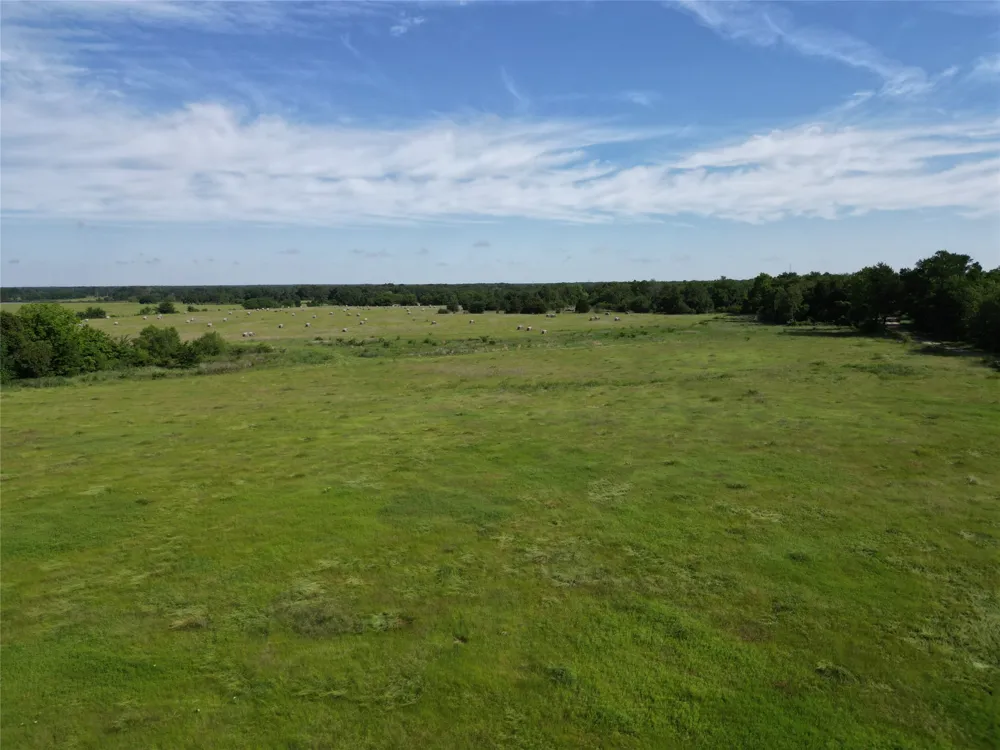7188 FM 1567 W Miller Grove, TX 75433