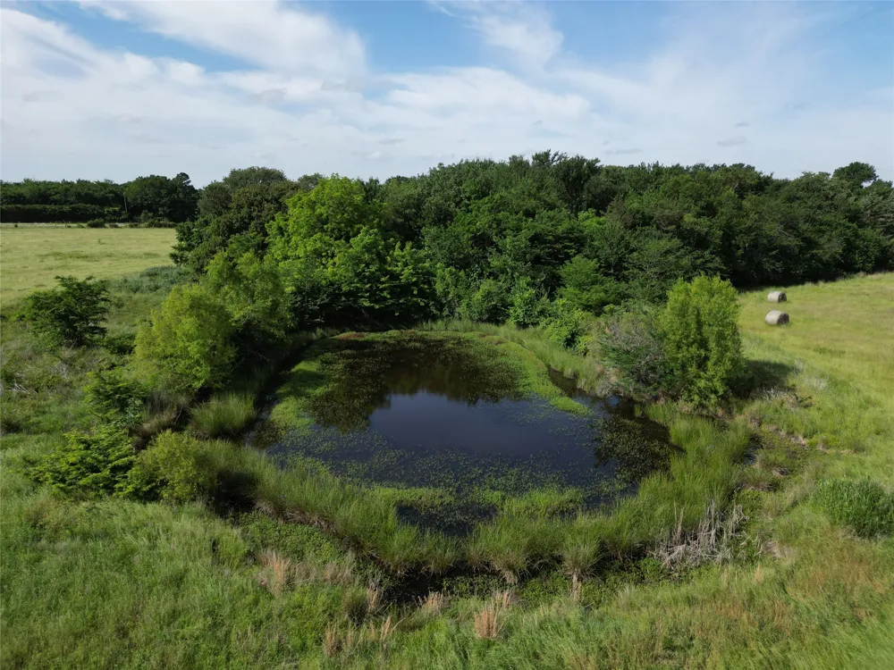 7188 FM 1567 W Miller Grove, TX 75433