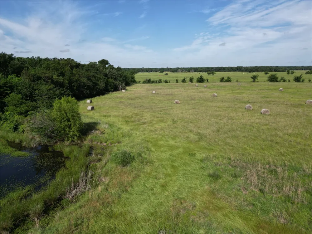 7188 FM 1567 W Miller Grove, TX 75433
