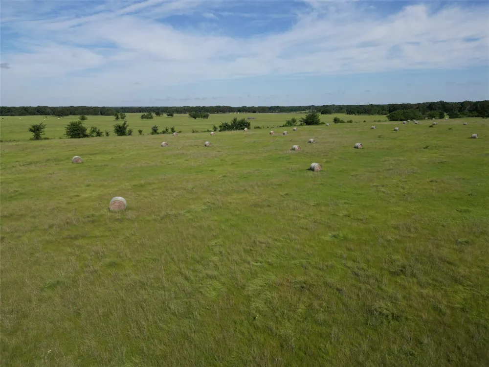 7188 FM 1567 W Miller Grove, TX 75433