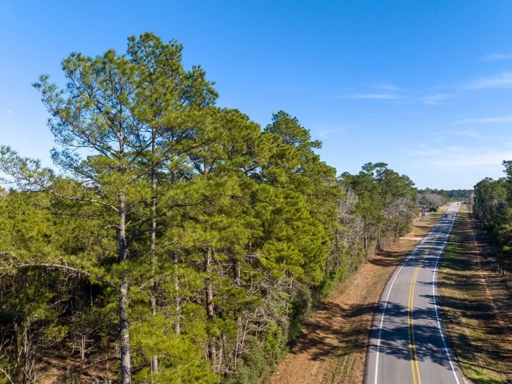 1 Fm 1725 Willis, TX 77378