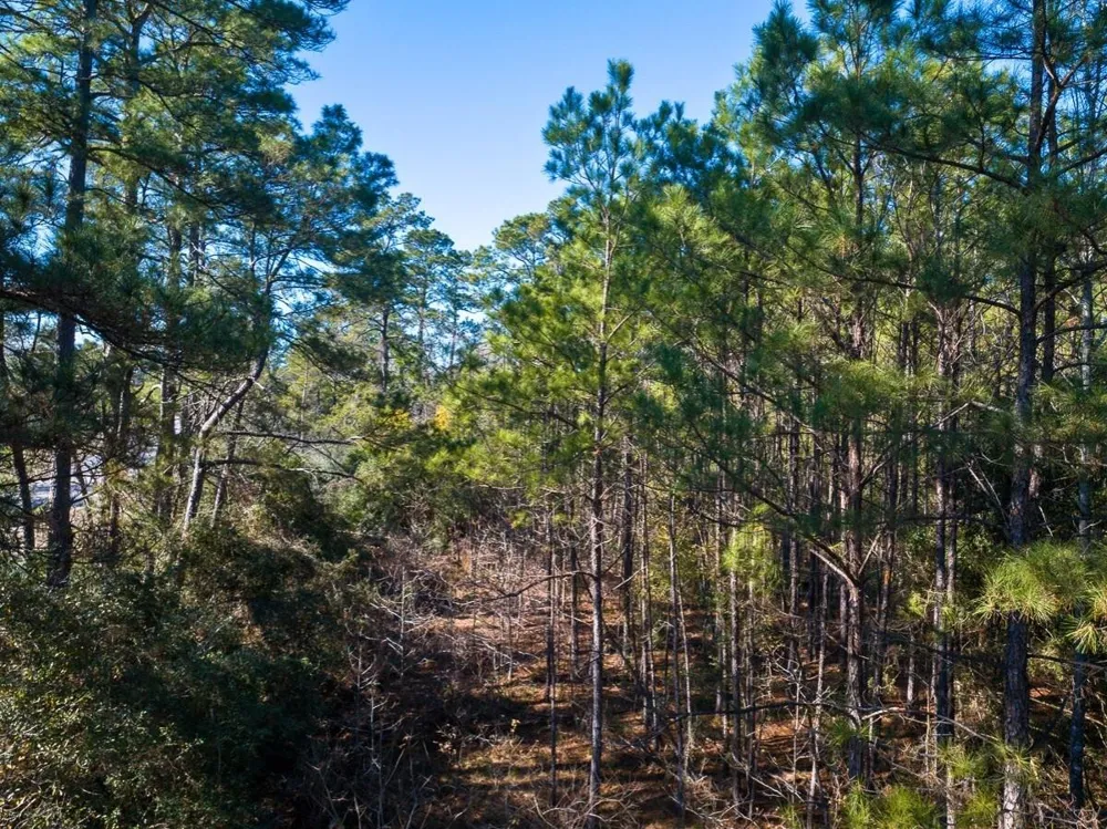 1 Fm 1725 Willis, TX 77378