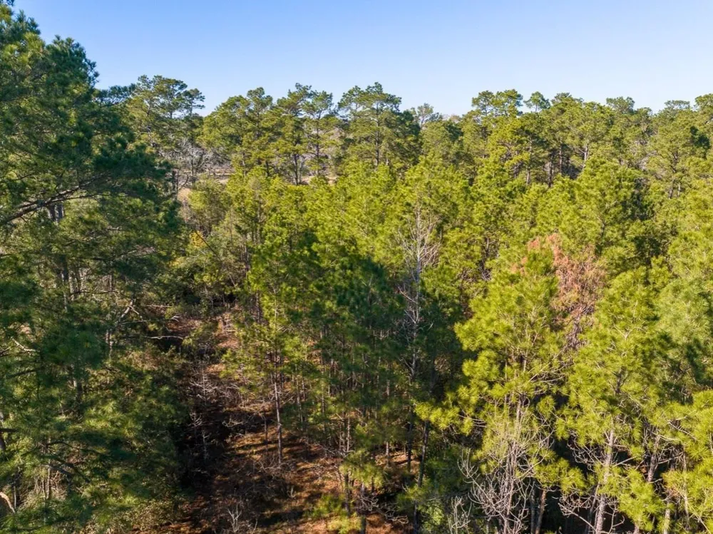 1 Fm 1725 Willis, TX 77378