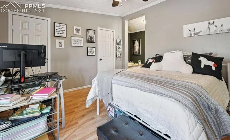 10025 Milne Road Colorado Springs, CO 80928