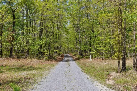 Deepwoods Road