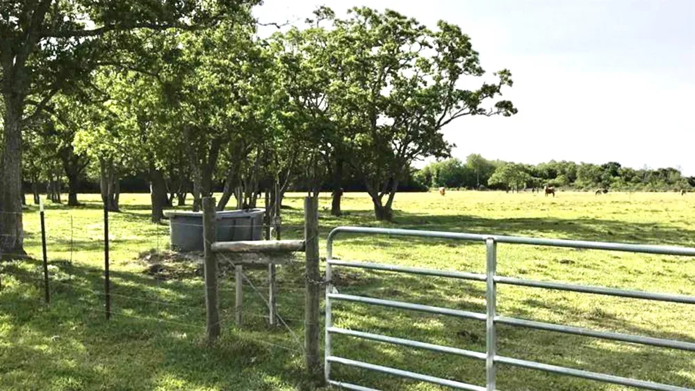 Eagle Road Anahuac, TX 77514