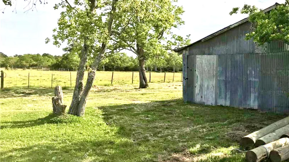 Eagle Road Anahuac, TX 77514