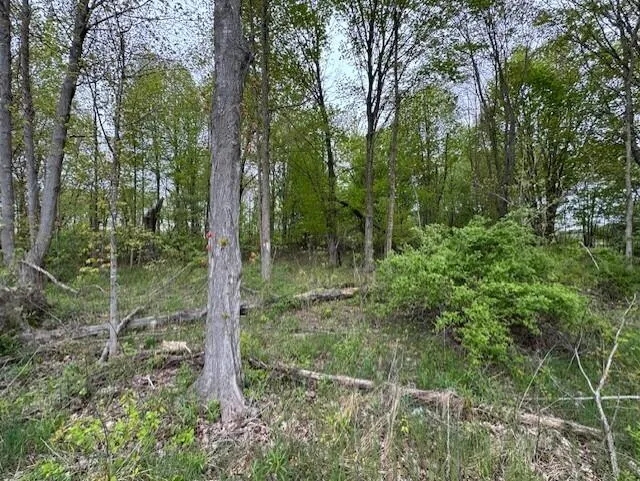 460 Industrial Park Drive Bangor, MI 49013