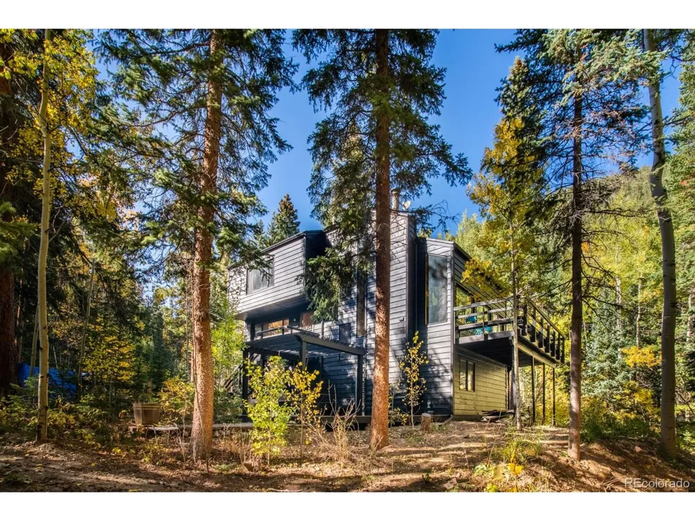 48 Moss Lane Dumont, CO 80436