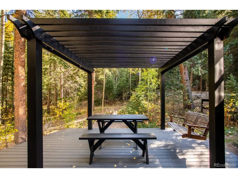 48 Moss Lane Dumont, CO 80436