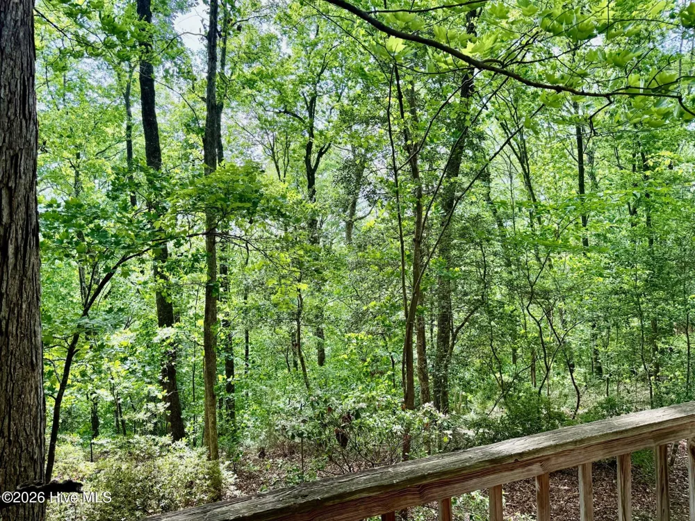 829 Williamsburg Drive Rockingham, NC 28379