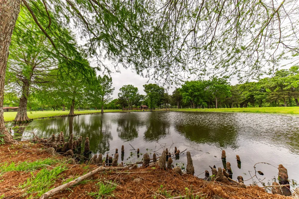1050 Vz County Road 3704 Wills Point, TX 75169